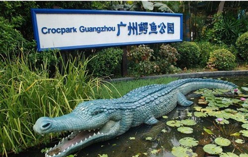 鱷魚(yú)公園