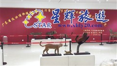 野生動(dòng)物