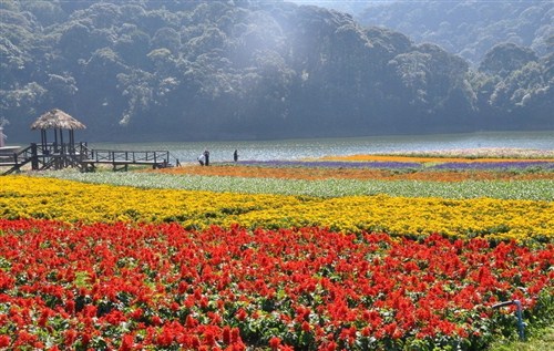 從化石門(mén)國(guó)家