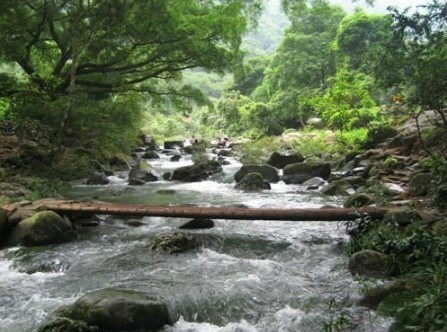 從化石門(mén)國(guó)家