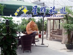 東南亞風(fēng)情魚(yú)療5