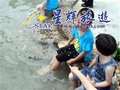 東南亞風(fēng)情魚(yú)療6