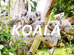 廣州長隆野生動物世界、720° 玻璃纜車看動物一天游