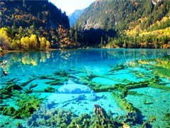 VIP半自助游：臻享九寨---九寨溝、黃龍、四姑娘山純玩4天