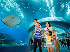 珠海長隆海洋王國、全球至大海洋主題樂園純玩一天 一票通玩8大主題園區(qū)