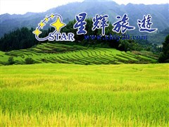 歐家梯田3