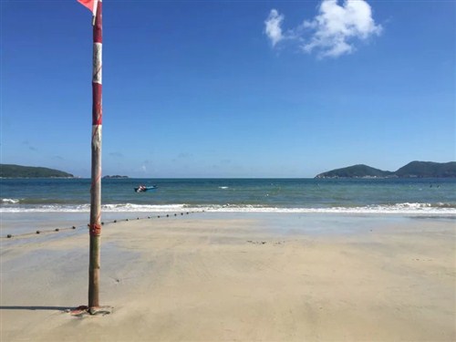 陽光沙灘