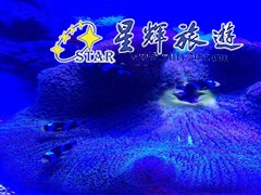 海底