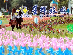 風(fēng)車狂歡季