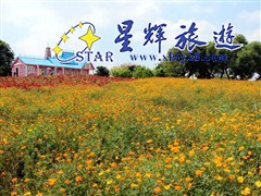 夢(mèng)幻百花洲2
