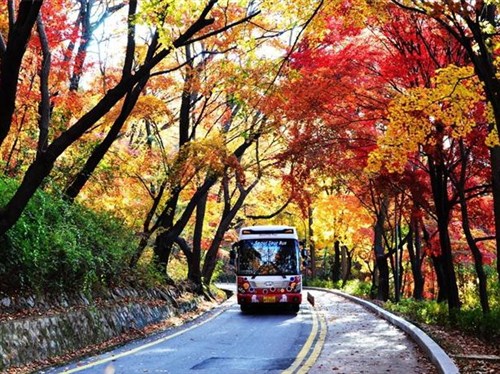南山公園1