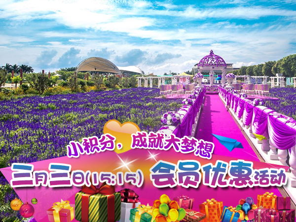 廣州百萬(wàn)葵園一天游