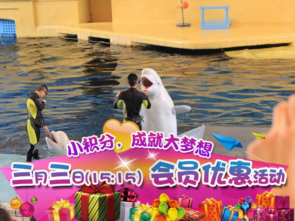 廣州海洋館、動(dòng)物園一天