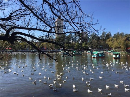 翠湖公園01
