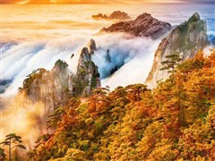 H1線：湖光山色&五岳黃山 | 全程入住四星酒店、真純玩0加點(diǎn)、雙飛4天休閑游