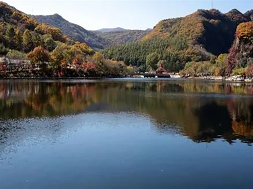 關(guān)門(mén)山國(guó)家森林公園002.webp