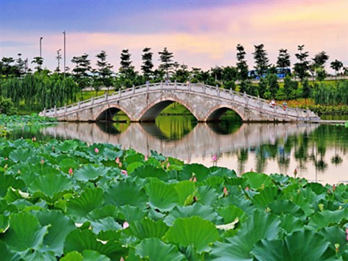 飛來(lái)湖公園001