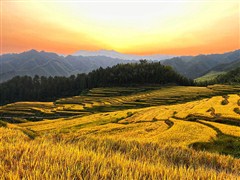 廣西、湖南、廣東三省聯(lián)游四天三晚