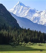 疆山如畫(huà) 躺游新疆 18日游