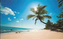 暢游海花島—海南雙飛五天游